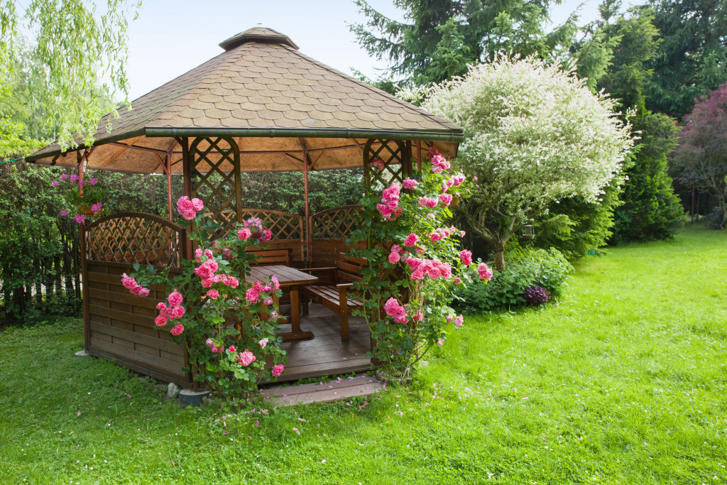 garden with shed