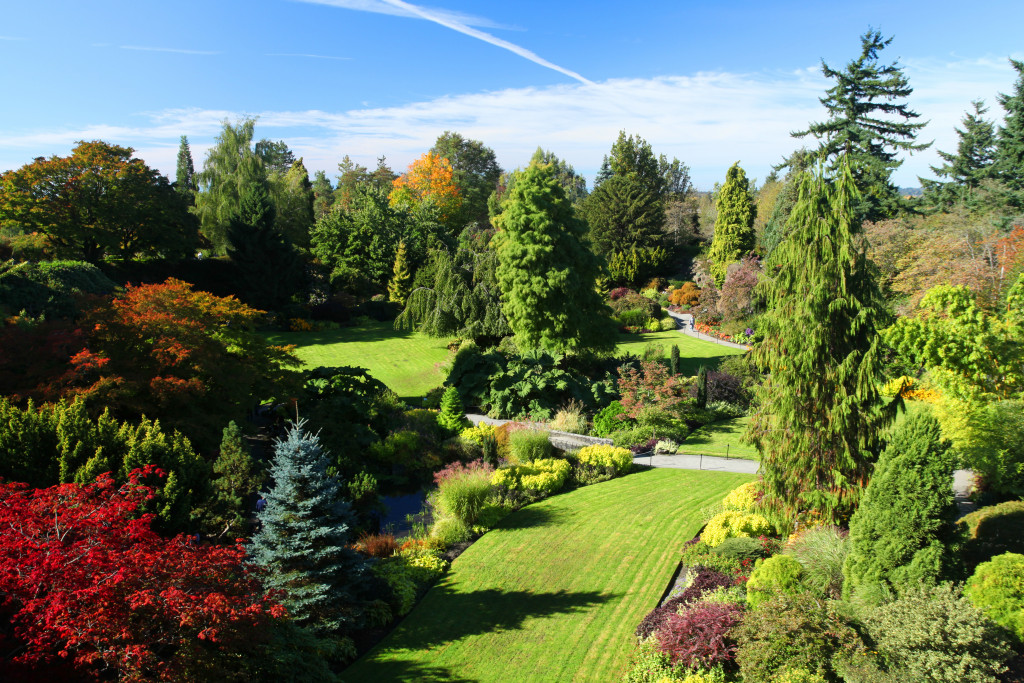 lawn landscaping