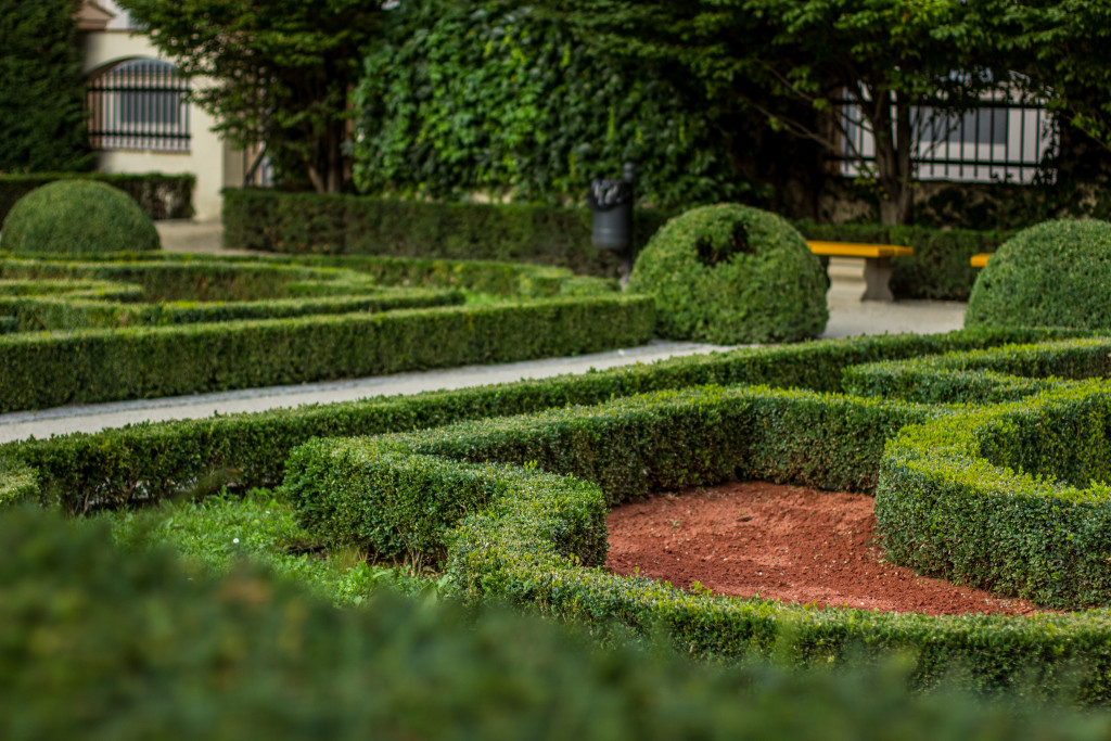 hedge maze landscape