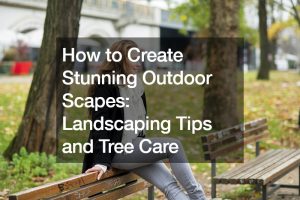 How to Create Stunning Outdoor Scapes Landscaping Tips and Tree Care