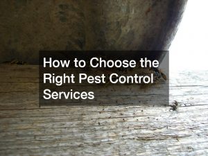 How to Choose the Right Pest Control Services