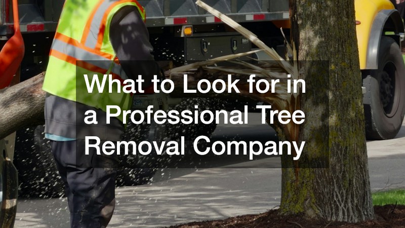 What to Look for in a Professional Tree Removal Company